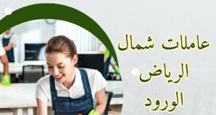 شغالات شرق الرياض حى السعادة